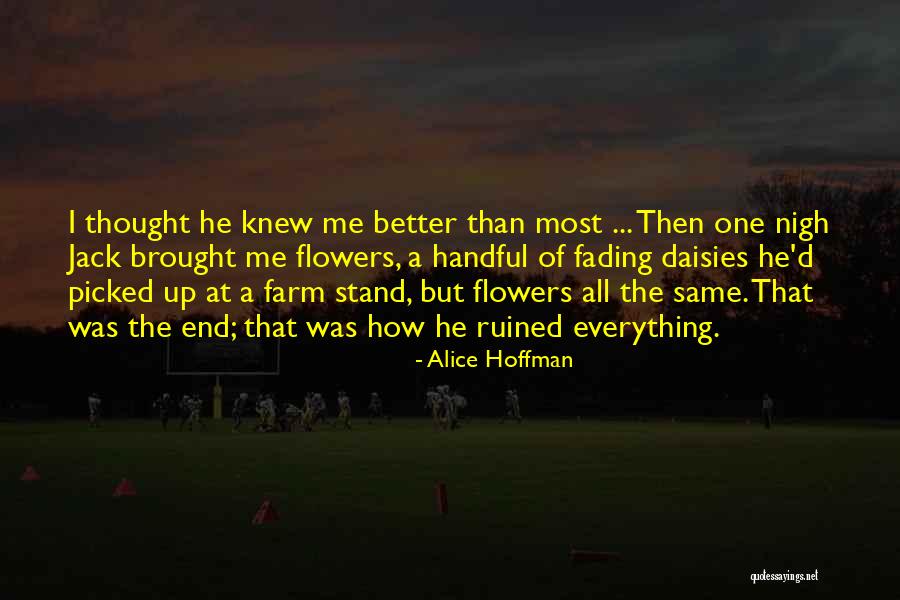 Snitch Allison Van Diepen Quotes By Alice Hoffman Snitch Allison Van Diepen Quotes By Alice Hoffman