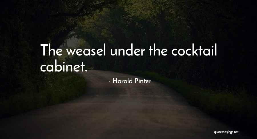 Snits Great Quotes By Harold Pinter