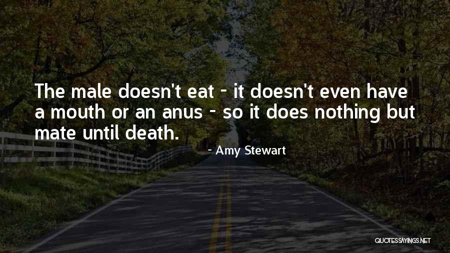 Snl Pat Quotes By Amy Stewart Snl Pat Quotes By Amy Stewart