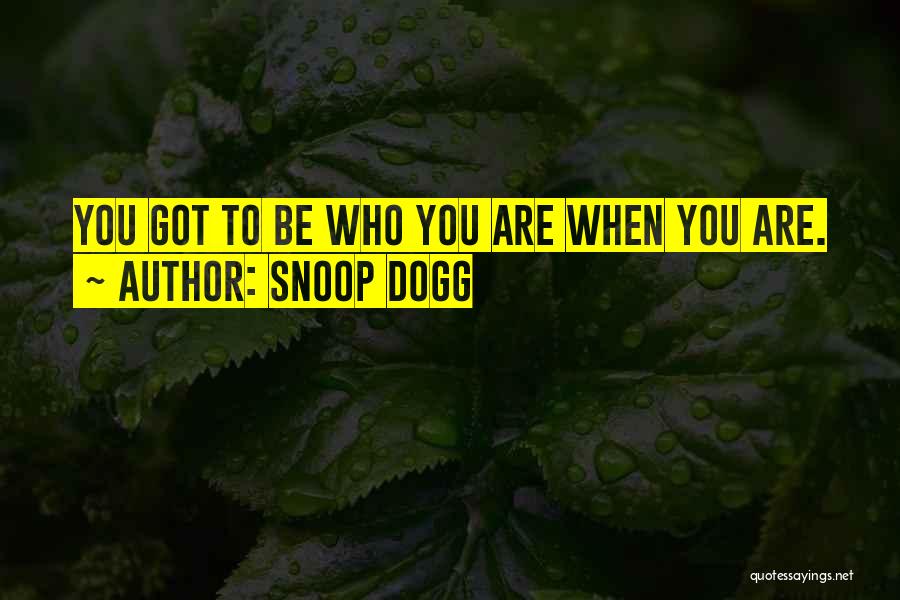 Snoop Dogg Quotes 2164565