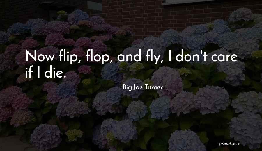 Snoots Evolution Quotes By Big Joe Turner Snoots Evolution Quotes By Big Joe Turner