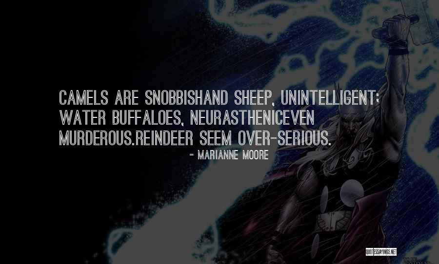 Snoozing Crossword Quotes By Marianne Moore Snoozing Crossword Quotes By Marianne Moore
