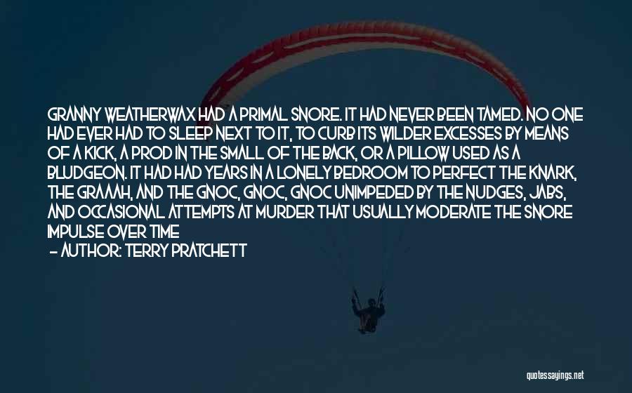 Snoring Quotes By Terry Pratchett