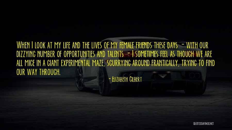 Snotneus Guns Quotes By Elizabeth Gilbert Snotneus Guns Quotes By Elizabeth Gilbert