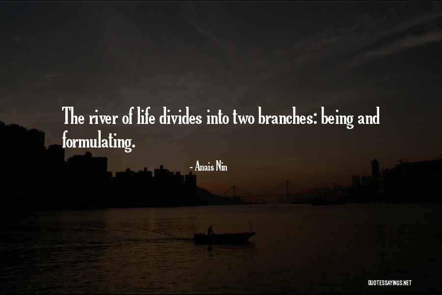 Snova Skin Quotes By Anais Nin Snova Skin Quotes By Anais Nin