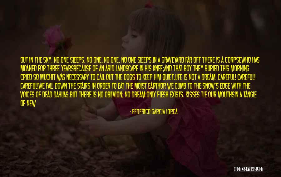 Snow And Dogs Quotes By Federico Garcia Lorca Snow And Dogs Quotes By Federico Garcia Lorca