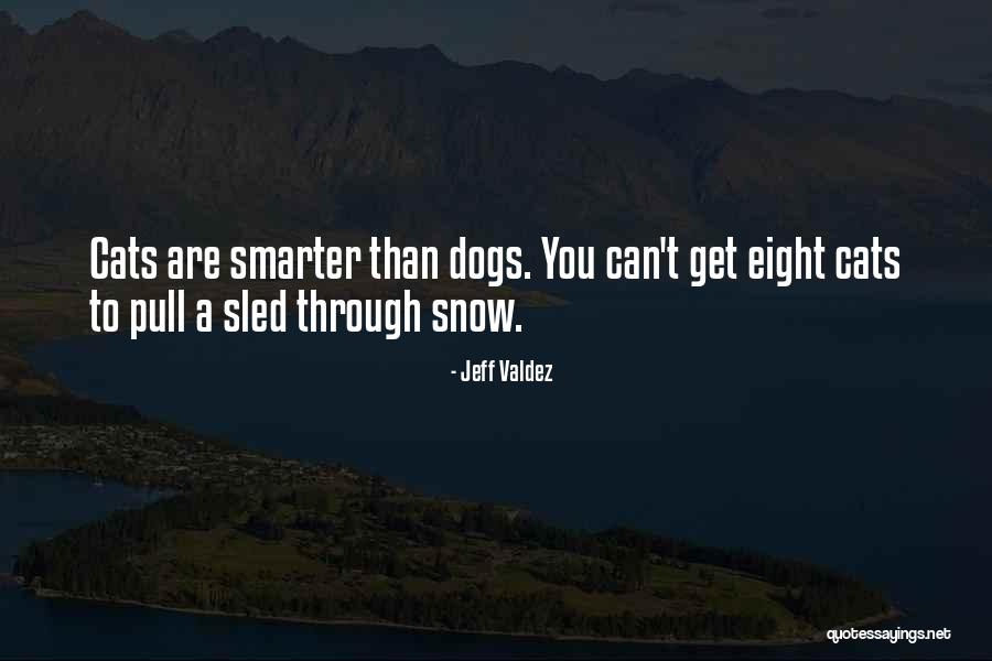 Snow And Dogs Quotes By Jeff Valdez Snow And Dogs Quotes By Jeff Valdez
