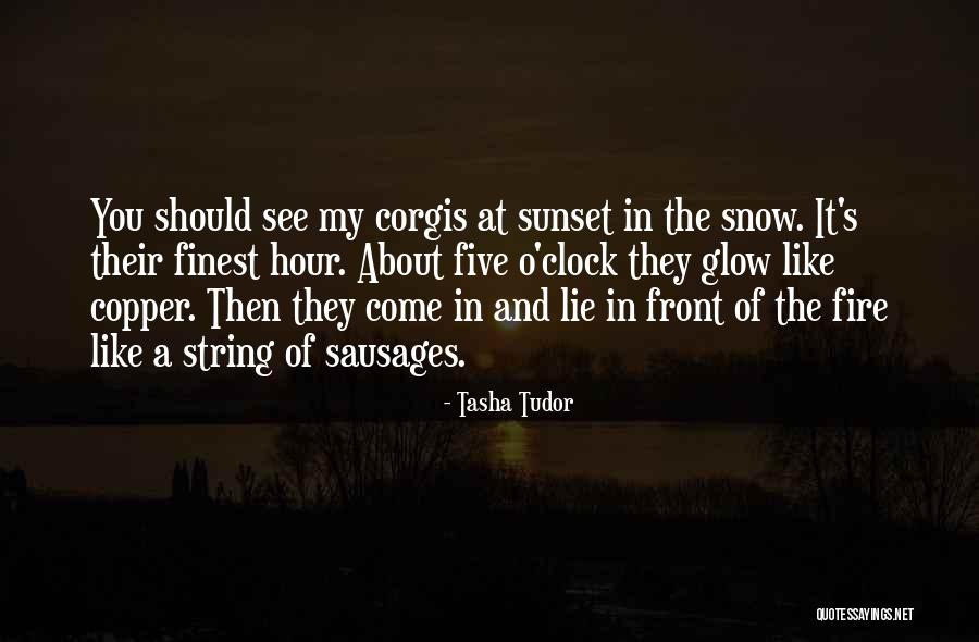 Snow And Dogs Quotes By Tasha Tudor Snow And Dogs Quotes By Tasha Tudor