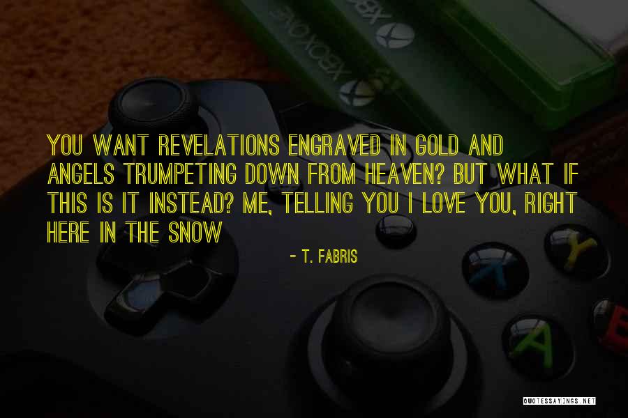 Snow And Love Quotes By T. Fabris Snow And Love Quotes By T. Fabris