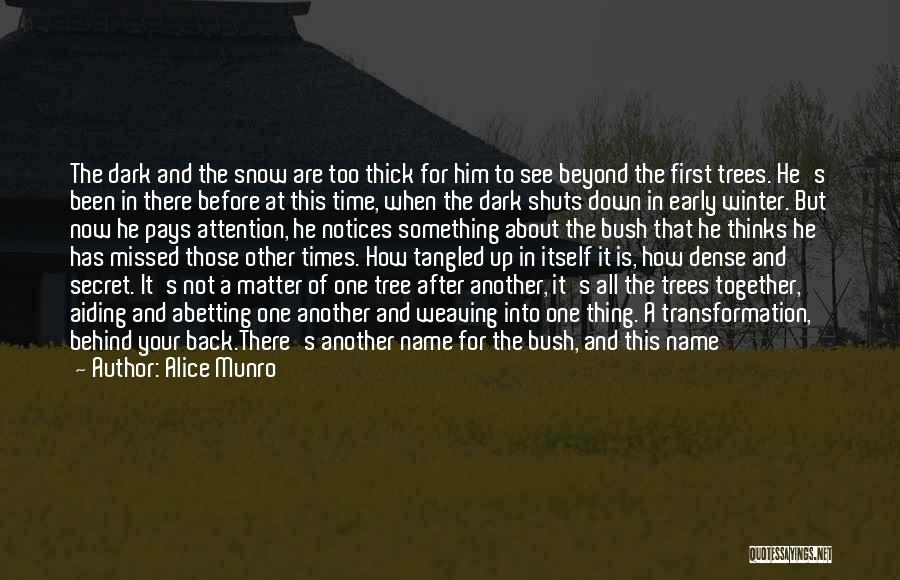Snow And Trees Quotes By Alice Munro