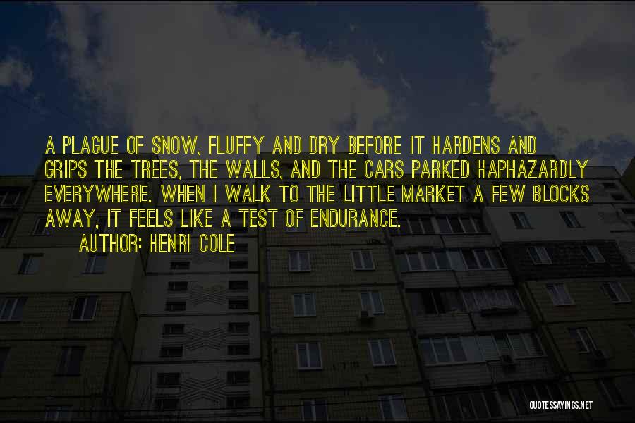 Snow And Trees Quotes By Henri Cole