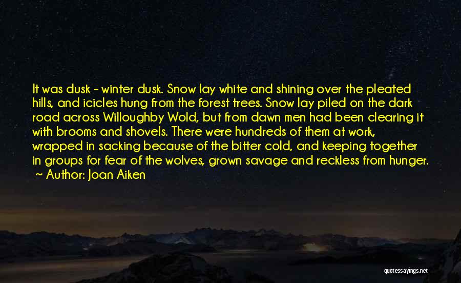 Snow And Trees Quotes By Joan Aiken