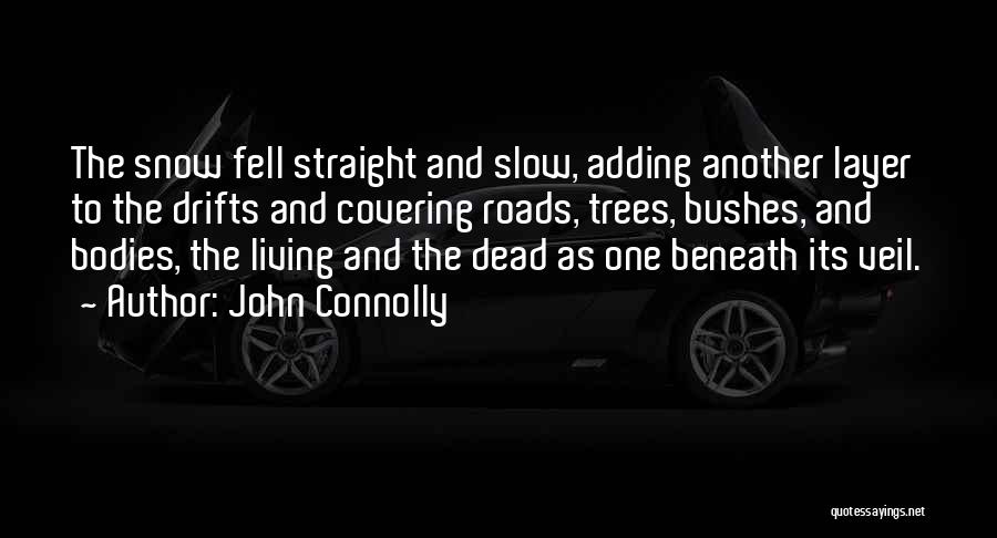 Snow And Trees Quotes By John Connolly