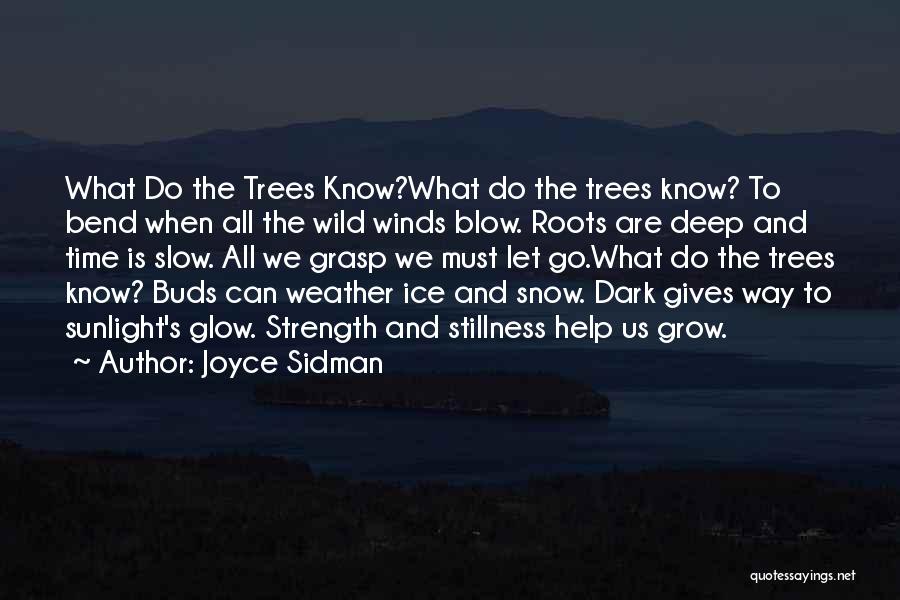 Snow And Trees Quotes By Joyce Sidman