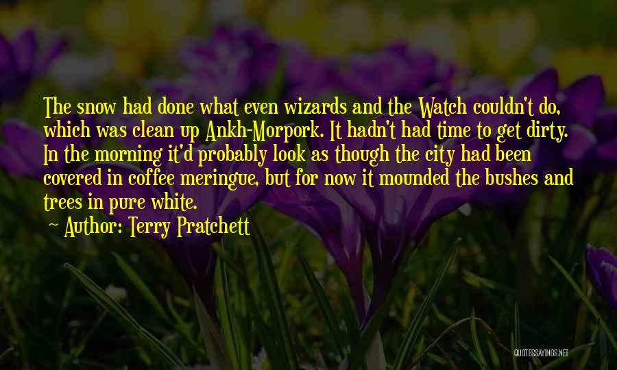 Snow And Trees Quotes By Terry Pratchett