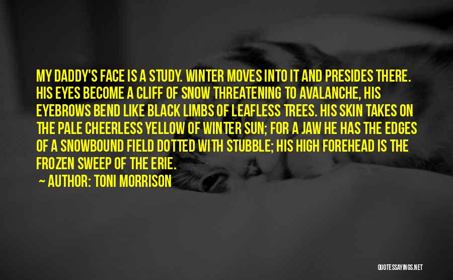 Snow And Trees Quotes By Toni Morrison