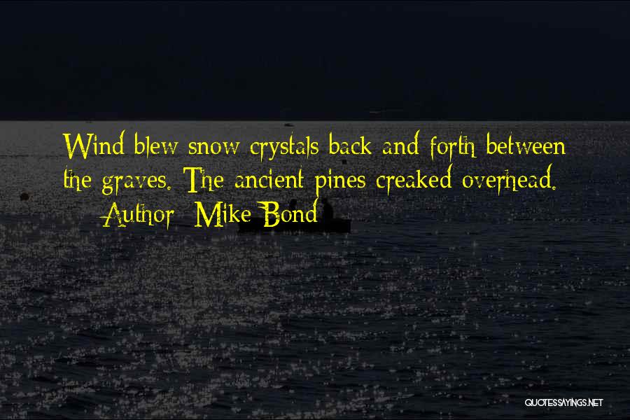 Snow And Winter Quotes By Mike Bond