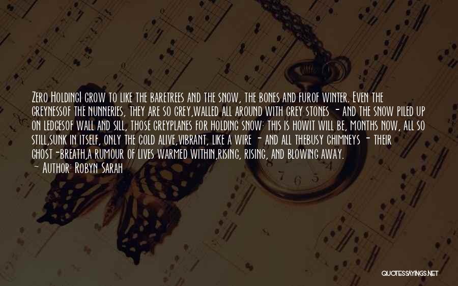 Snow And Winter Quotes By Robyn Sarah