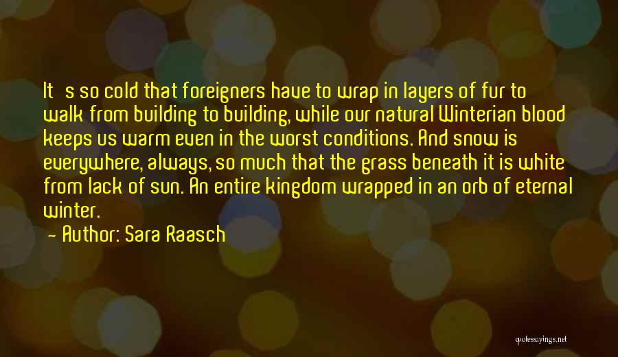Snow And Winter Quotes By Sara Raasch