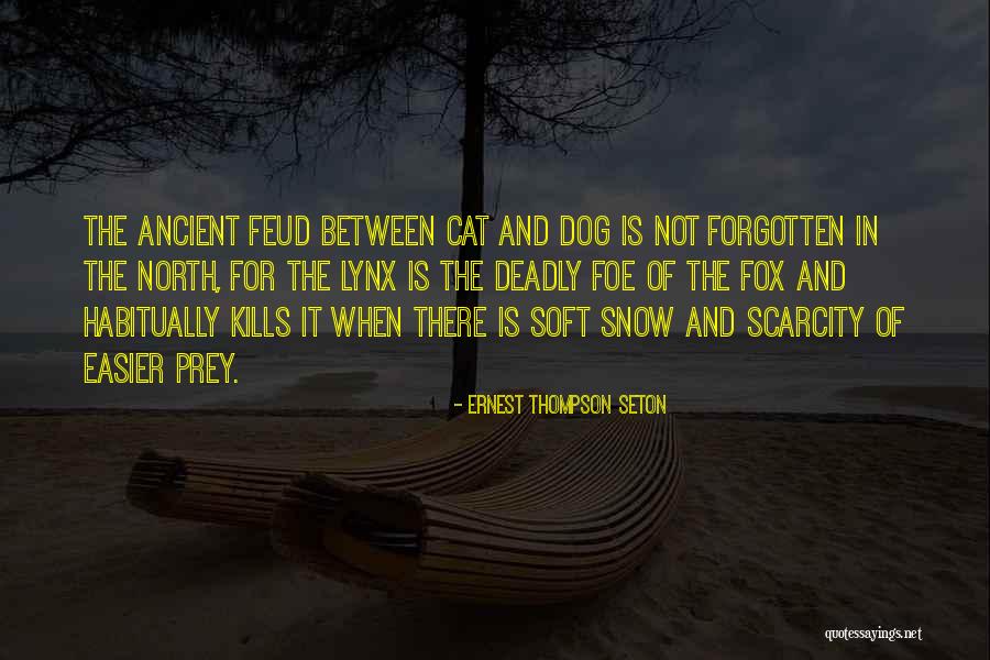 Snow Cat Quotes By Ernest Thompson Seton Snow Cat Quotes By Ernest Thompson Seton