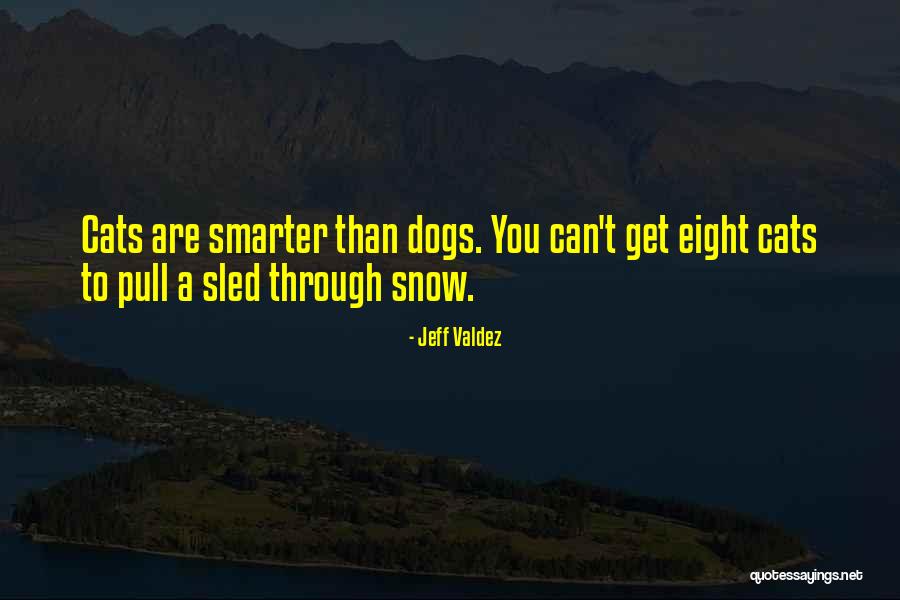 Snow Cat Quotes By Jeff Valdez Snow Cat Quotes By Jeff Valdez
