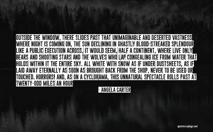 Snow Dark Sky Quotes By Angela Carter Snow Dark Sky Quotes By Angela Carter