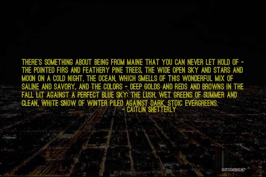 Snow Dark Sky Quotes By Caitlin Shetterly Snow Dark Sky Quotes By Caitlin Shetterly