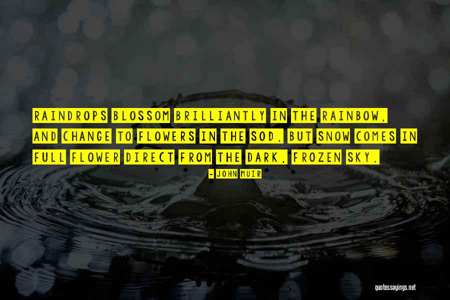 Snow Dark Sky Quotes By John Muir Snow Dark Sky Quotes By John Muir