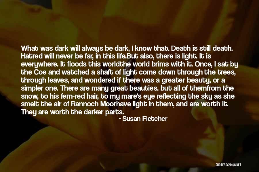 Snow Dark Sky Quotes By Susan Fletcher Snow Dark Sky Quotes By Susan Fletcher