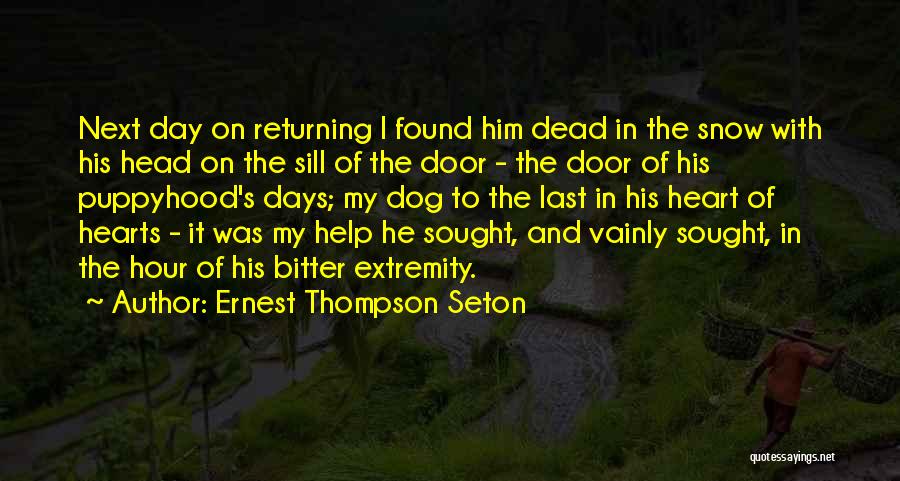 Snow Dog Quotes By Ernest Thompson Seton