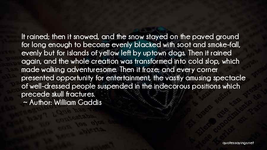 Snow Dogs Quotes By William Gaddis