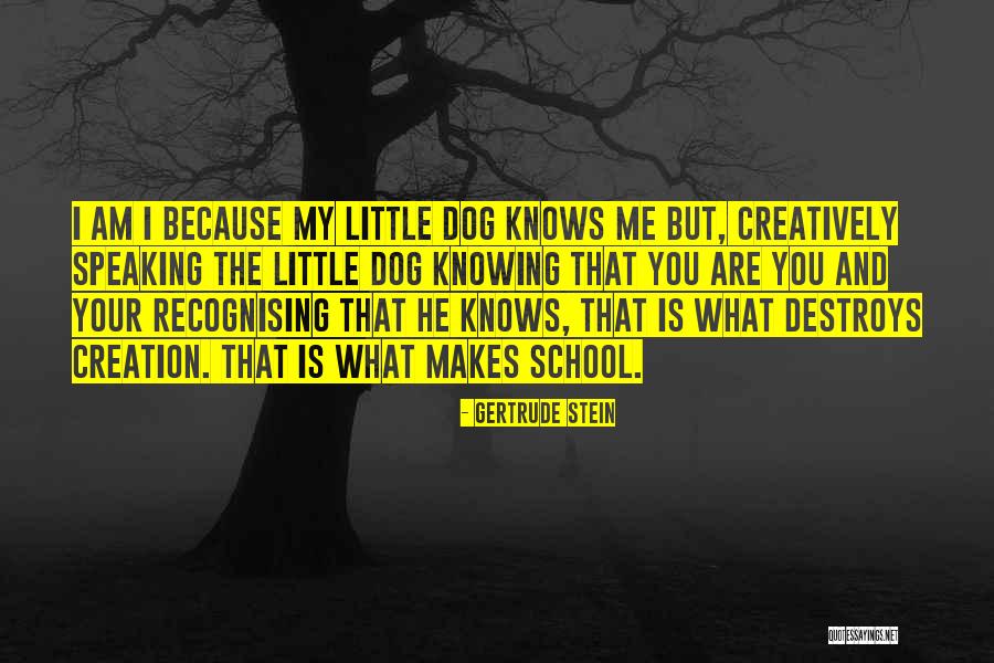 Snow Dust Buster Quotes By Gertrude Stein Snow Dust Buster Quotes By Gertrude Stein