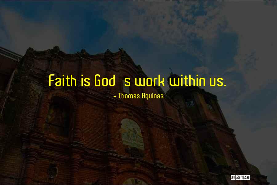 Snow Dust Buster Quotes By Thomas Aquinas Snow Dust Buster Quotes By Thomas Aquinas