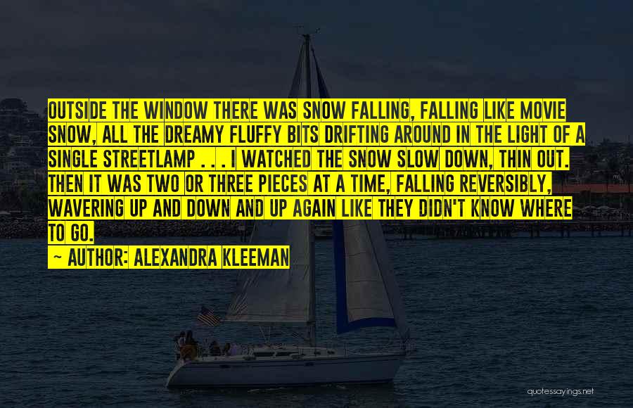 Snow Falling Quotes By Alexandra Kleeman