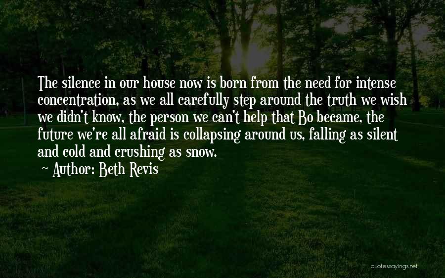 Snow Falling Quotes By Beth Revis