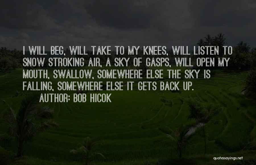 Snow Falling Quotes By Bob Hicok