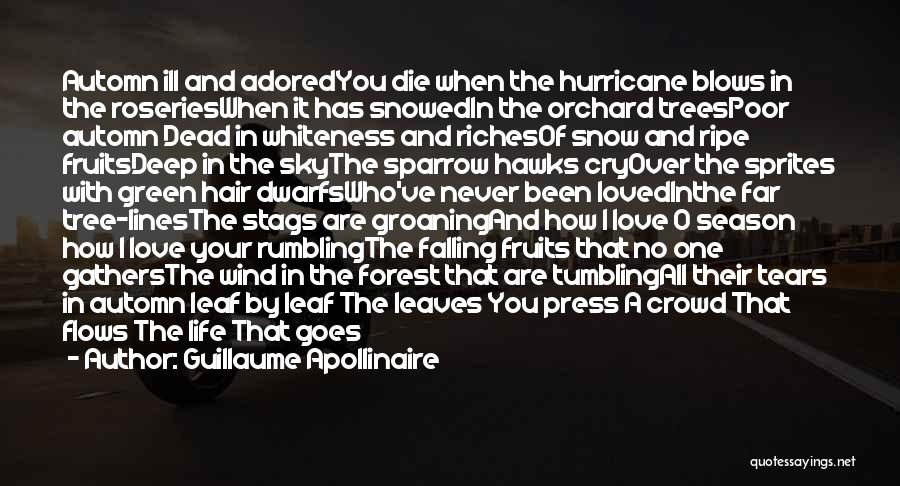 Snow Falling Quotes By Guillaume Apollinaire