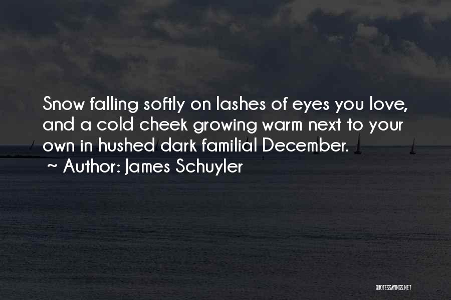Snow Falling Quotes By James Schuyler