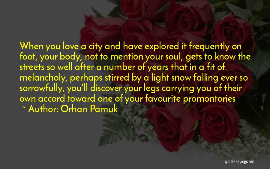 Snow Falling Quotes By Orhan Pamuk