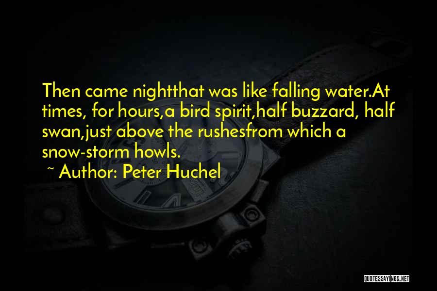 Snow Falling Quotes By Peter Huchel