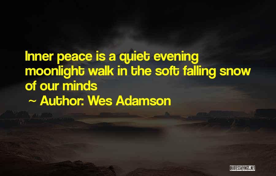 Snow Falling Quotes By Wes Adamson