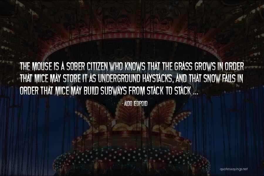 Snow Falls Quotes By Aldo Leopold Snow Falls Quotes By Aldo Leopold