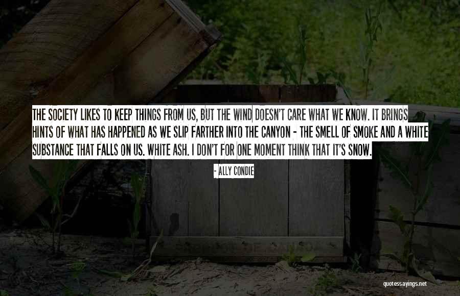 Snow Falls Quotes By Ally Condie Snow Falls Quotes By Ally Condie