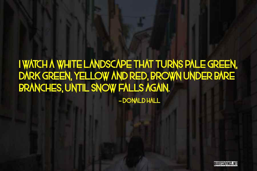 Snow Falls Quotes By Donald Hall Snow Falls Quotes By Donald Hall