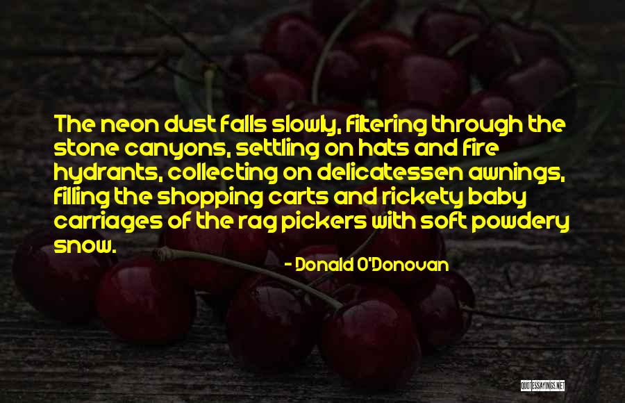 Snow Falls Quotes By Donald O'Donovan Snow Falls Quotes By Donald O'Donovan