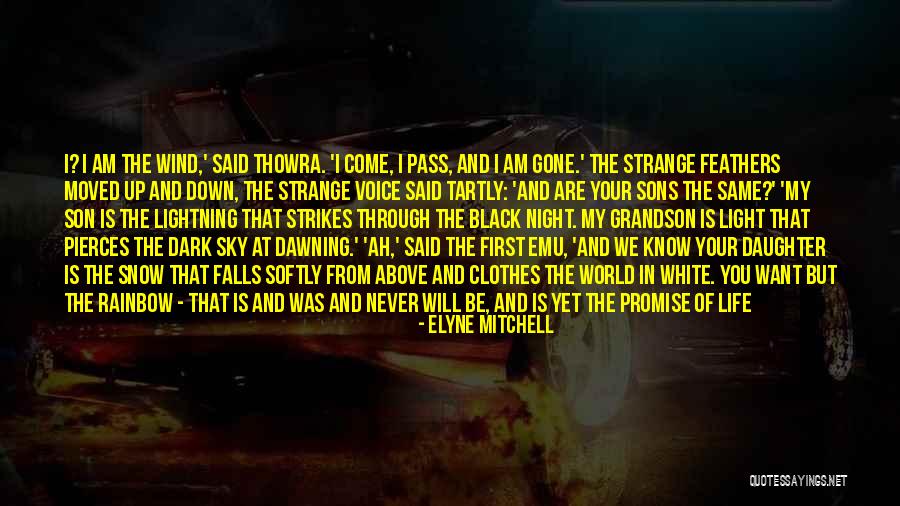 Snow Falls Quotes By Elyne Mitchell Snow Falls Quotes By Elyne Mitchell