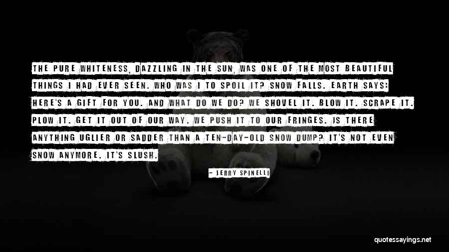 Snow Falls Quotes By Jerry Spinelli Snow Falls Quotes By Jerry Spinelli