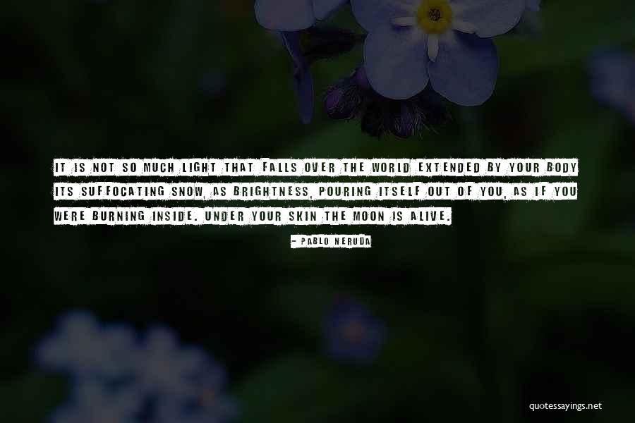 Snow Falls Quotes By Pablo Neruda Snow Falls Quotes By Pablo Neruda