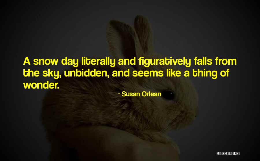 Snow Falls Quotes By Susan Orlean Snow Falls Quotes By Susan Orlean