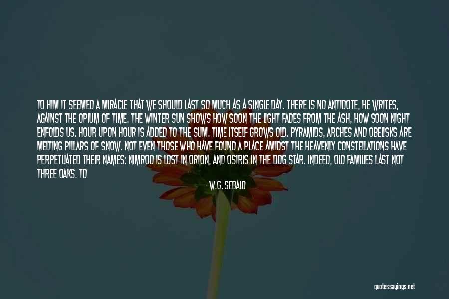 Snow Falls Quotes By W.G. Sebald Snow Falls Quotes By W.G. Sebald